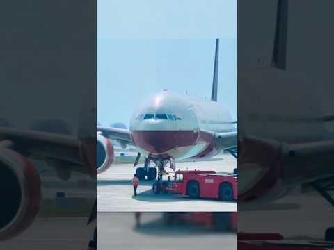 The pilot refused to land #shorts #viralshorts