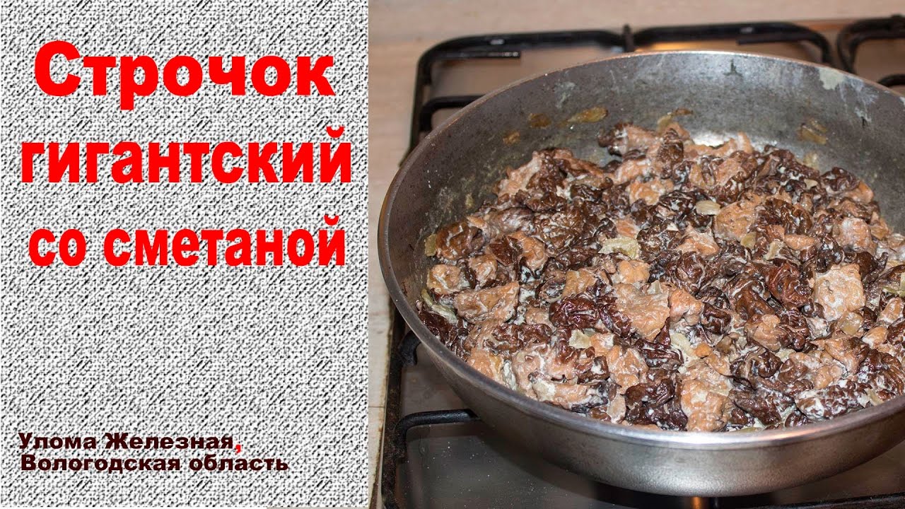 Строчки гигантские со сметаной - весенний деликатес!