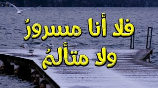 يقولون: خضراء المرابع نضرة