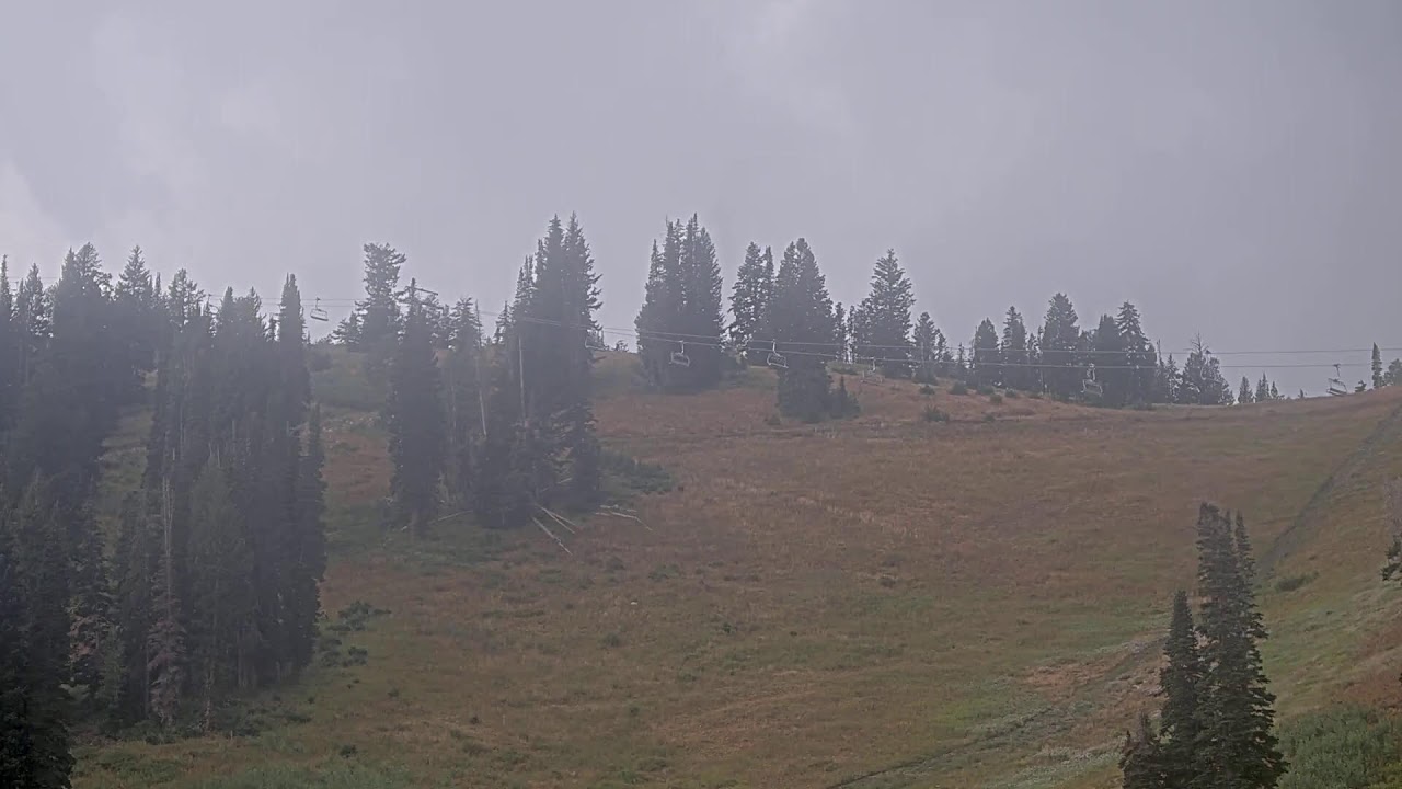 Sunshine Bowl, Solitude