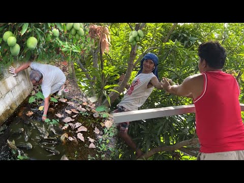 LIBRENG HULI NG ISDA SA HARAP NG BAHAY AT HARVEST NG MANGGA SA BAKURAN! Buhay Probinsya! Philippines