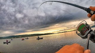 видео