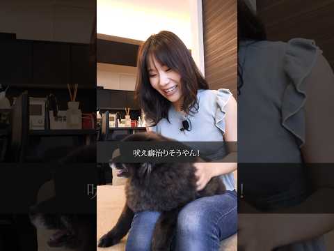 【 ドラマ 】 吠え癖 トレーニング はゆっくりと 愛犬 のペースで！〔 犬 ペット しつけ 〕