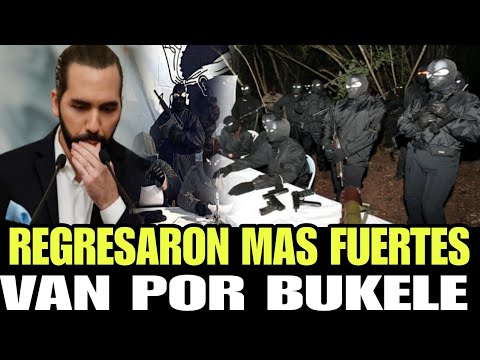 REGRESARON CON MAS FUERZA AMEN4Z4NDO A NAYIB BUKELE Y LE ANUNCIAN QUE VAN POR EL