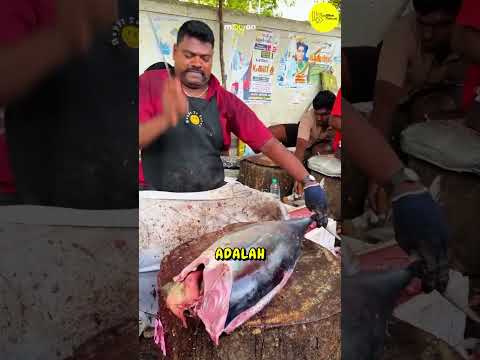 Proses Pengolahan Ikan Tuna Sirip Kuning #food #fish #fishing