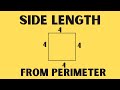 Understanding Perimeter and Side Length of a Square