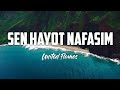 United Flames - SEN HAYOT NAFASIM