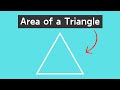 Understanding the Area of a Triangle