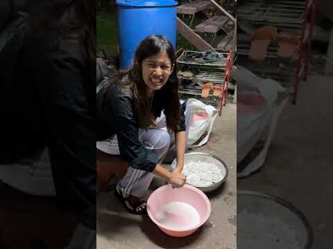 รีวิว วิธีทำอาหาร ของคนปาปัวนิวกินี 🇵🇬 เป็นยังไง ไปดู !!