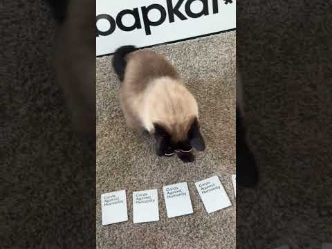 Cards Against Humanity