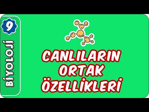 Canlıların Ortak Özellikleri | 9. Sınıf Biyoloji