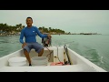 Marine Conservation and Fisheries Management