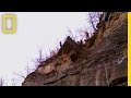 Rockfall Management and Predictions