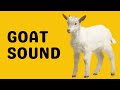 Understanding Video Transcript