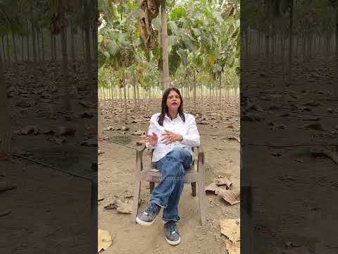 ऐसे लगाएं पेड़ होगी हर साल आमदन 💰 #teakplantation