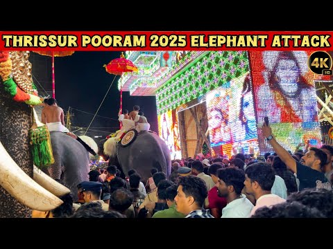 Shocking Elephant Attack Caught on Camera! | Thrissur Pooram 2025 @saravananvlogs