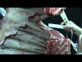 Meat Standards Australia Grading Concepts