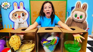 LABUBU vs LAFUFU Mystery Box Challenge!