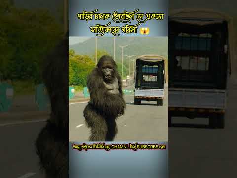 āĻāĻžāĻĄāĻŧāĻŋāϰ āĻāĻžāϞāĻ āĻā§āĻŦā§āĻāĻŋāϞ āϏ⧠āĻāĻāĻāύ āϏāϤā§āϝāĻŋāĻāĻžāϰā§āϰ āĻāϰāĻŋāϞāĻž đą