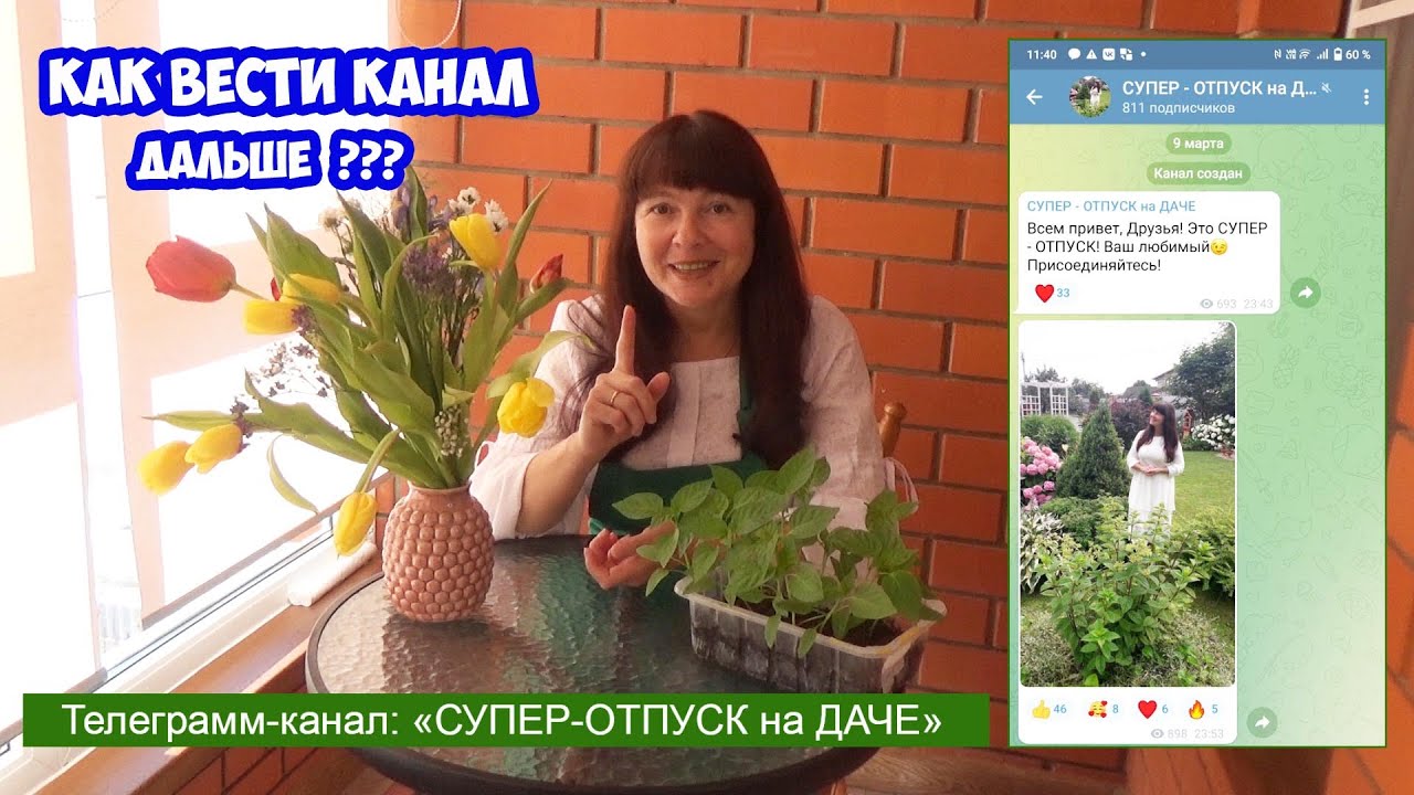 Наш канал в ТЕЛЕГРАММ! Что с Яндекс-Дзеном и Рутубом? Как быть дальше? И объявление о каннах
