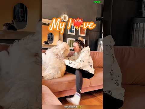 True l❤️🔥ve#dog #love #trending #funny #cutedog #dogcoach #gooddog