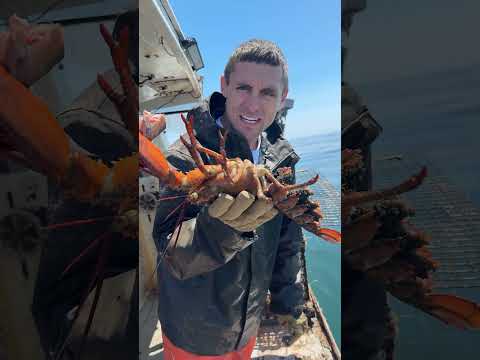 Haul 5 Lobster traps with us!