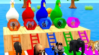 Long Slide Game With Cow Elephant Gorilla Hippopotamus Tiger - 3d Animal Game - Funny 3d Animals #2