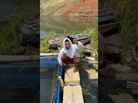 Part 2 candu banget mancing dikeramba #mancing #ikan #riedwanrichie