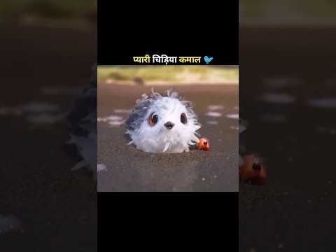 चिड़िया का कमाल #viral #story #movifacts #shortsviral #amazingfacts #motivation #viral #shortsfeed