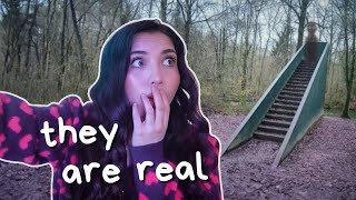 I Went To Investigate The Stairs In The Woods Phenomenon