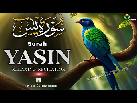 Most Popular & Beautiful Heart Touching Of Surah Yaseen (Yasin) سورة يس | Quran WorldWide 10M