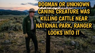 DOGMAN OR UNKNOWN CANINE CREATURE KILLING CATTLE NEAR NATIONAL PARK,  RANGER LOOKS INTO IT