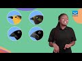 Darwin's Theory of Evolution Concepts