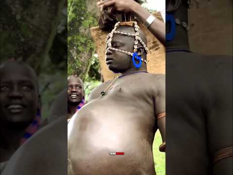 Shocking Truth of Ethopia's Bodi Tribe | #shorts #BodiTribe #EthiopiaTribes #tribalsecrets #africa