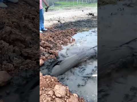 Drainage Of Water And Dirt From The Bridge