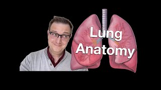 The Lungs: Lobes, Surfaces and Clinical Notes. #anatomy, #medstudent, #lung, #respiratorysystem