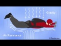 Understanding Power and Forces in Physics