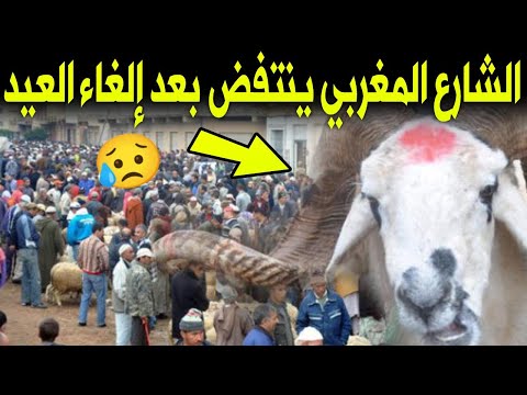 عاجل جدا: لن تصدق السبب الحقيقي وراء الغاء عيد الاضحى بالمغرب ورأي المغاربة في القرار