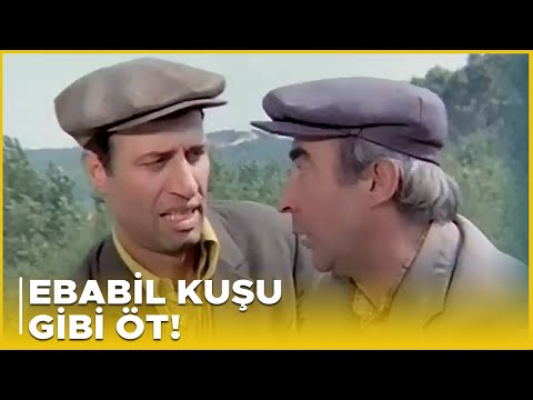 Davaro Türk Filmi | Memo ile Sülo Tiyatro Çeviriyor