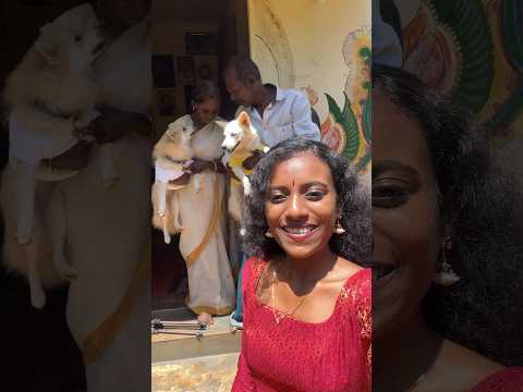 വീട്ടിലെ അംഗങ്ങള്‍ എല്ലാവരും ഉണ്ട്😹ഞങ്ങളുടെ ഓണം🥰കുഞ്ഞപ്പന് ഉടുപ്പ് ഇടുന്നത് ഇഷ്ട്ടം അല്ലാ...🤣