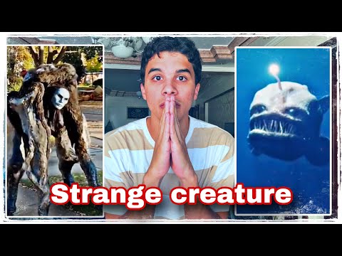 The appearance of strange creatures..!🤯