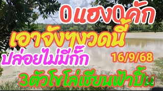 0แฮง0คัก เอาจังๆงวดนี้ ปล่อยไม่มีกั๊ก 3 ตัวโขโล่ เซียนฟ้าปี้น