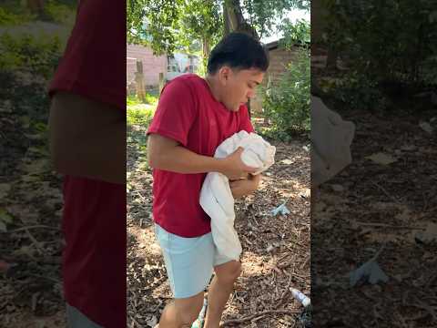 LA ABAND0NAR0N #shorts #comedia