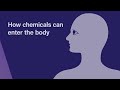 Chemical Safety and Exposure Risks