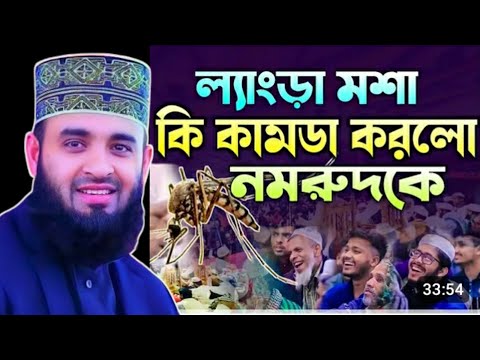 ল্যাংড়া মশা ও নমরুদের কাহিনী | মিজানুর রহমান আজহারী | Azhari Waz |