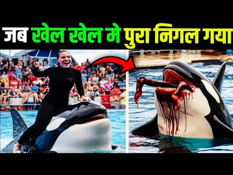 खेल खेल में जब पूरा निगल गया | HORRIFYING Last Moments of Orca Trainer Jessica Radcliffe
