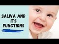 Understanding Human Saliva