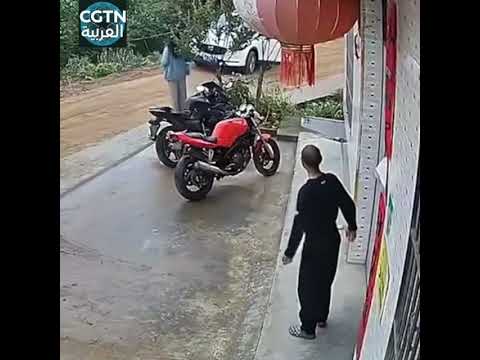 الزوج الذكي والشجاع ينقذ زوجته بعد انزلاق السيارة إلى الوراء أثناء وقوفها