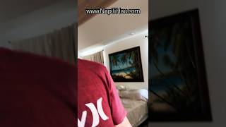 Maui Ocean View Home For Sale - Napili Real Estate