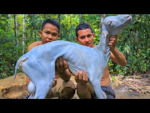 Amazing! Roasted Big Goat Recipes and Cooking Goat Sour Soup Eating Delicious